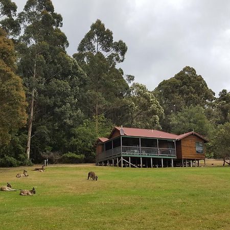 Walpole Wilderness Resort Buitenkant foto
