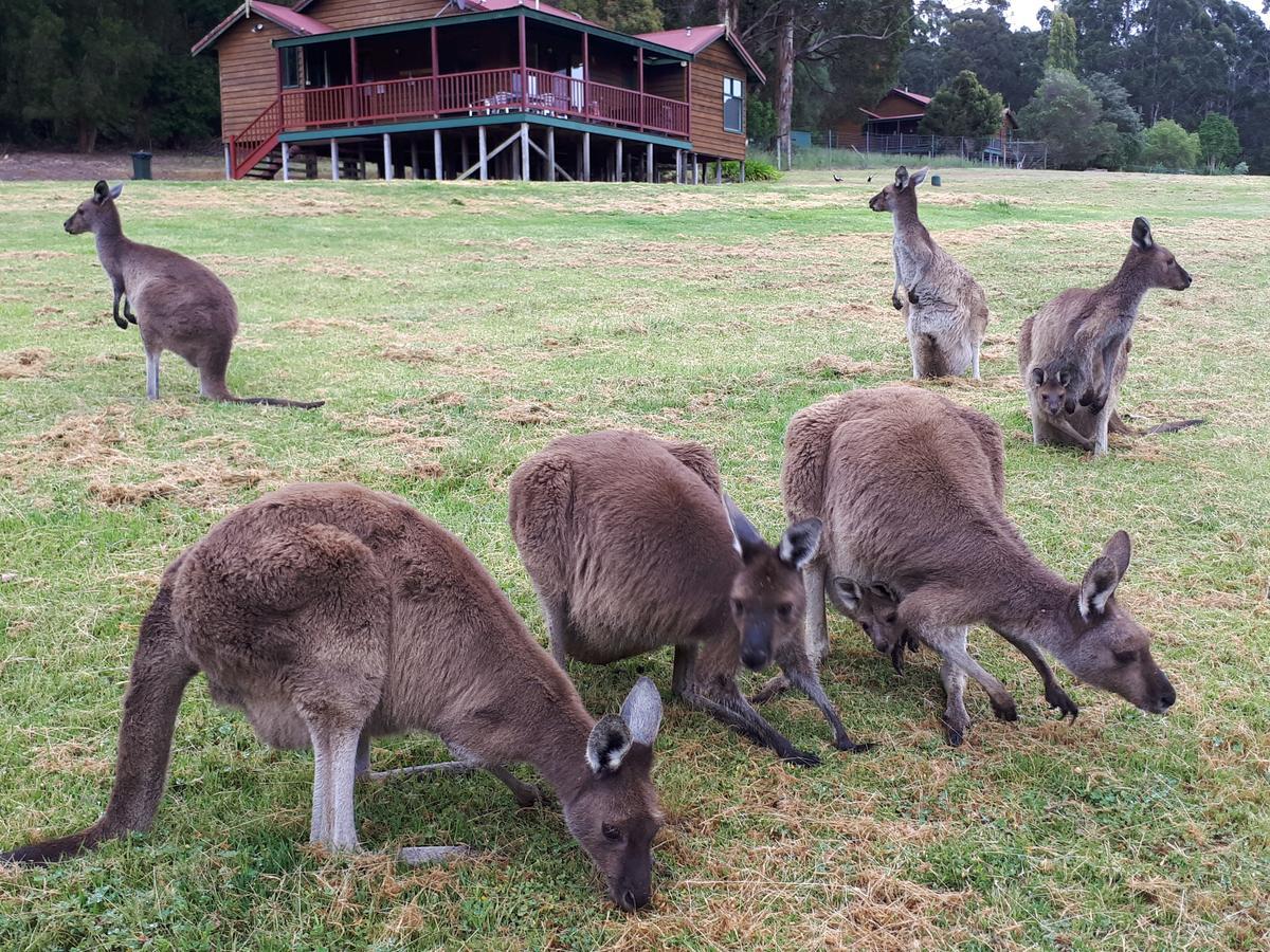 Walpole Wilderness Resort Buitenkant foto