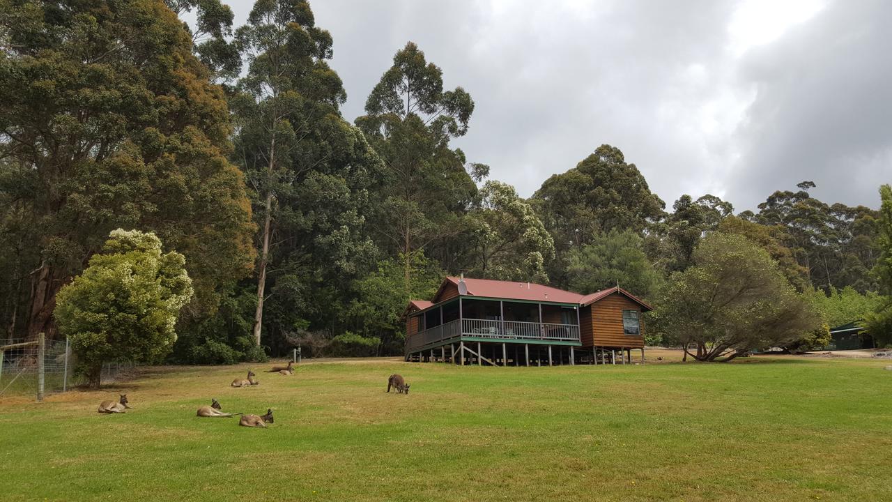 Walpole Wilderness Resort Buitenkant foto