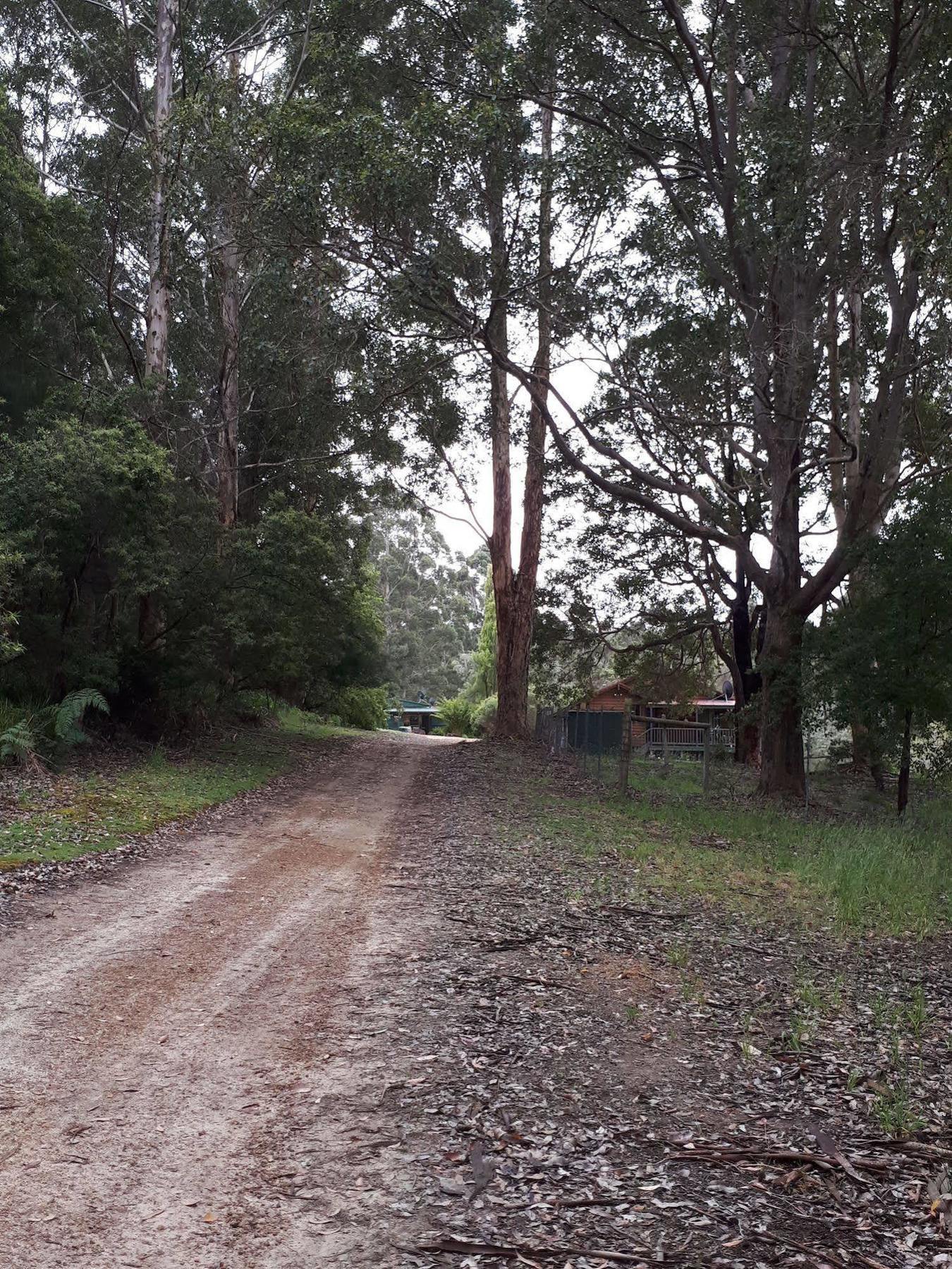 Walpole Wilderness Resort Buitenkant foto