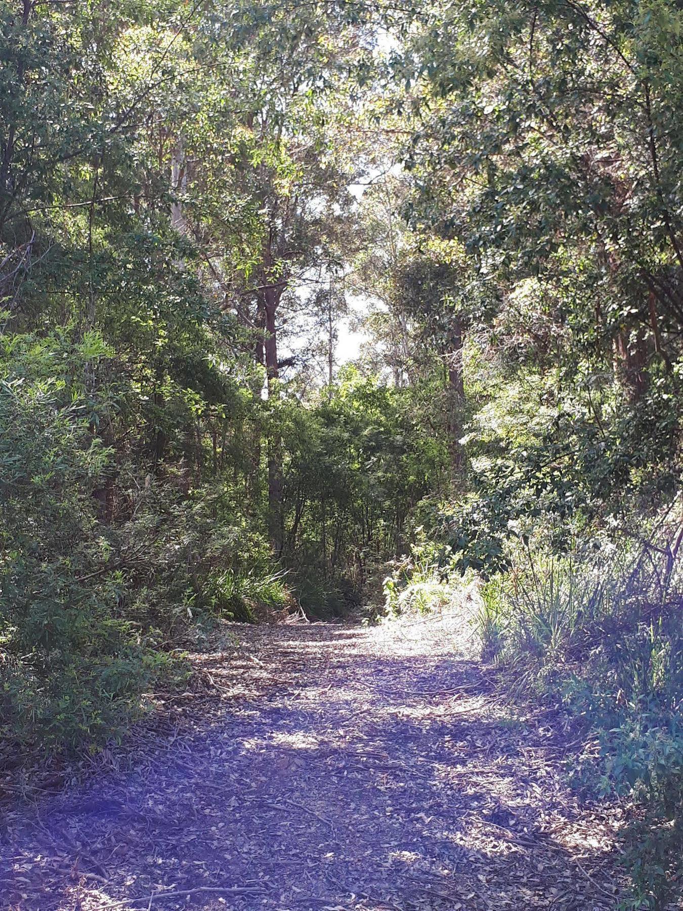 Walpole Wilderness Resort Buitenkant foto